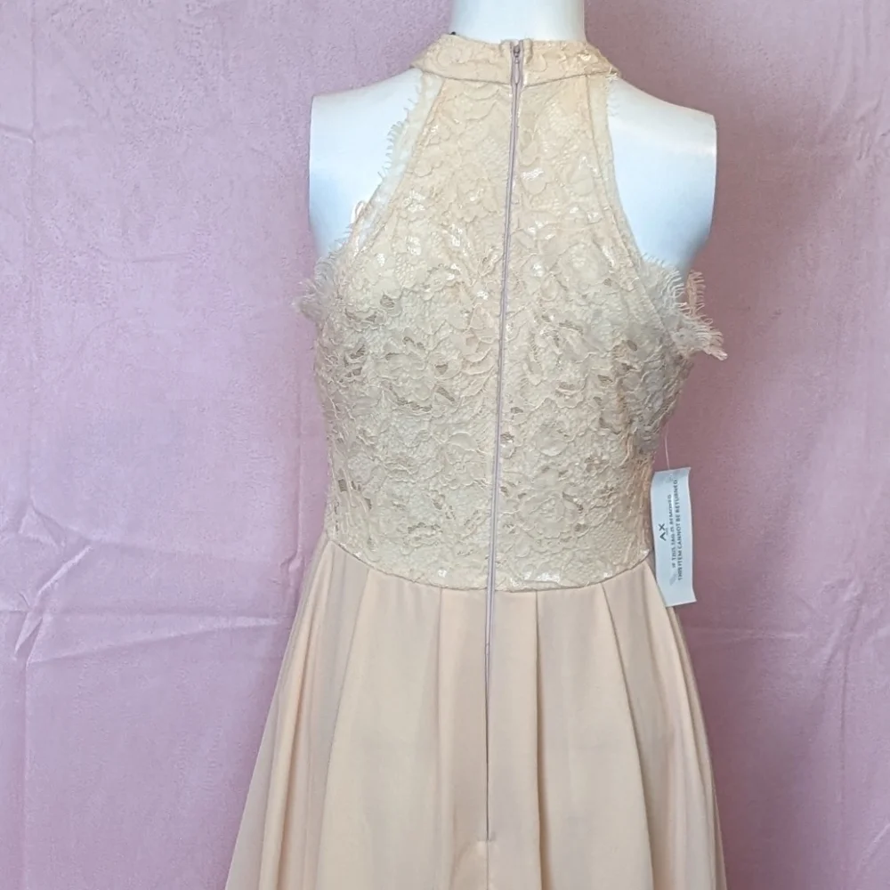 AX Paris Pale Pink Lace Bodice Chiffon Prom Evening Formal Dress size 10